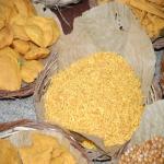 Vraj-Yatra-2014- (996)